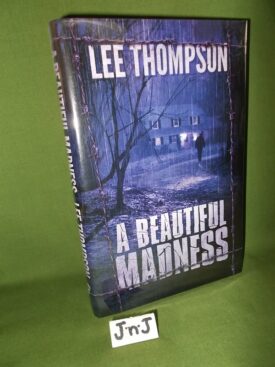 Book cover ofA Beautiful Madness