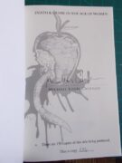 Death Desire 136