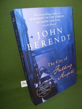 Book cover ofThe City of Falling Angels