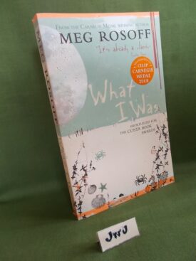 Book cover ofWhat I Was PB