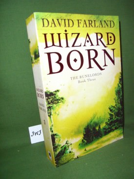 Book cover ofWizardborn