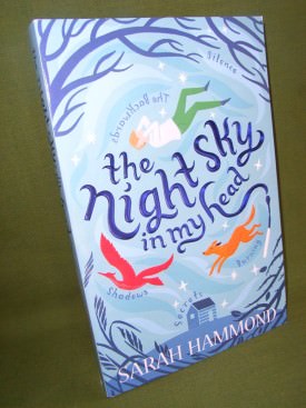 Book cover ofThe Night Sky in my Head