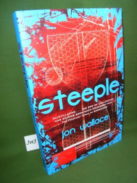 Book cover ofSteeple