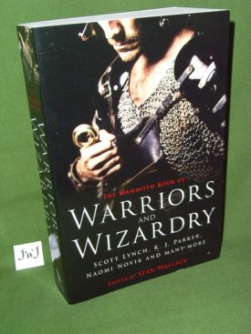 Book cover ofWarriors and Wizardry