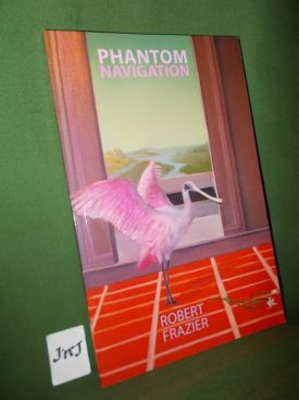 Book cover ofPhantom Navigation 12211