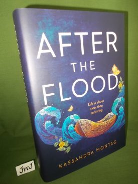 Book cover ofAfter The Flood HB