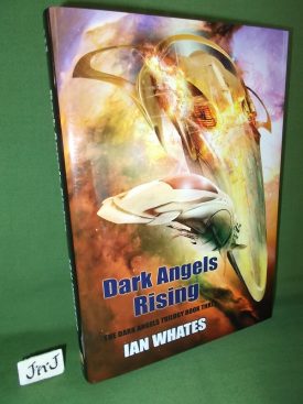 Book cover ofDark Angels Rising SNL