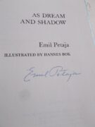 As Dream and Shadow 2
