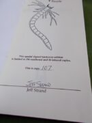 Benjamins Parasite 107