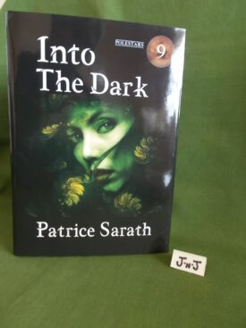 Book cover ofInto the dark 1