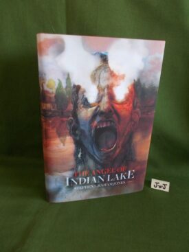 Book cover ofAngel of Indian Lake 1