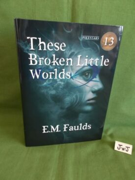 Book cover of THESE BROKEN LITTLE WORLDS (Signed Numbered Limited)